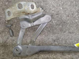 петля капота левая Volkswagen Passat B6 (2005 - 2010), 3C0823301D