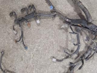 проводка двигателя Lexus RX 2 поколение (2003 - 2006), 3.3 л., 3MZ-FE, бензин