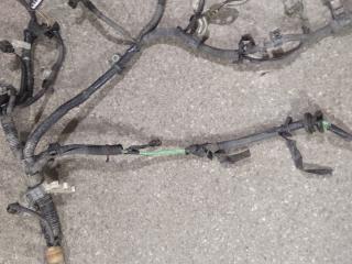 проводка двигателя Lexus RX 2 поколение (2003 - 2006), 3.3 л., 3MZ-FE, бензин