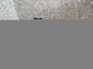 насос гидроусилителя руля Mazda 626 GF [рестайлинг] (1999 - 2002), бензин, GE4T32650A, 83234057