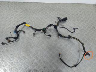 проводка двигателя Opel Astra G 2001, 1.7 л., TD, Y 17 DT, дизель