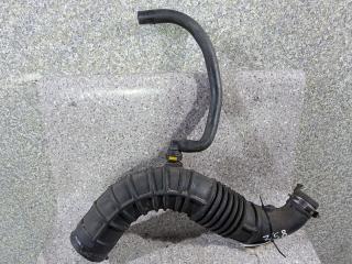 патрубок (трубопровод, шланг) Renault Megane 2 поколение 2004, 1.5 л., DCi, дизель, 8200500384