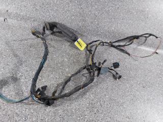 дверная проводка BMW X5 E53 [рестайлинг] 2006, внедорожник 5 дв.