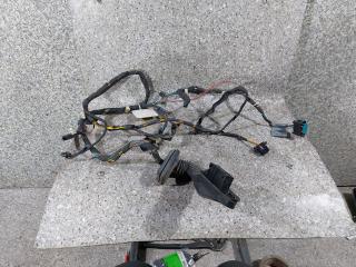 дверная проводка BMW X5 E53 [рестайлинг] 2006, внедорожник 5 дв.