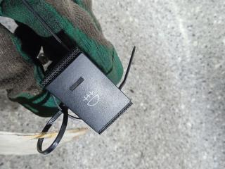 кнопка противотуманных фар Hyundai Getz 1 поколение 2004