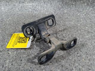 петля крышки багажника BMW X5 E53 [рестайлинг] 2006