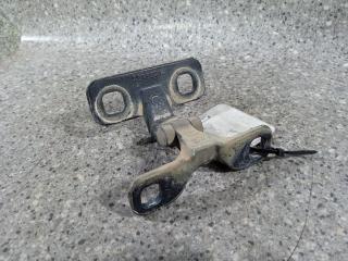 петля крышки багажника BMW X5 E53 [рестайлинг] 2006