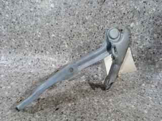 петля капота левая Hyundai Trajet 1 поколение [рестайлинг] 2006, 2.0 л., CRDi, дизель, МКПП