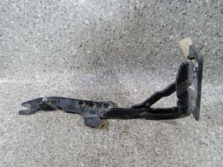 петля капота правая BMW X5 E53 [рестайлинг] 2006, 3.0 л., TD, дизель, АКПП, 8402174