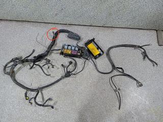 проводка двигателя Chevrolet Aveo T250 [рестайлинг] 2008, 1.2 л., B12S1, бензин, МКПП