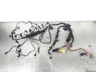 проводка двигателя BMW X5 E53 [рестайлинг] 2005, 3.0 л., TD, 306D2, дизель, АКПП, полный привод, 779681801, 779681901, 779076505, 779077004