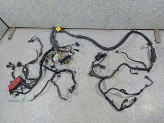 проводка Citroen C5 2 поколение (2008 - 2017), 2.0 л., HDi, RH01 (10DYZA), дизель, 9671777080D, 9686024580E, 2D117969, 452267201