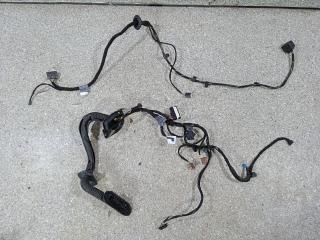 дверная проводка BMW 7 серия E65/E66/E67 [рестайлинг] 2006