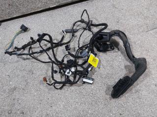 дверная проводка BMW 7 серия E65/E66/E67 [рестайлинг] 2006, 691314806, 695037401