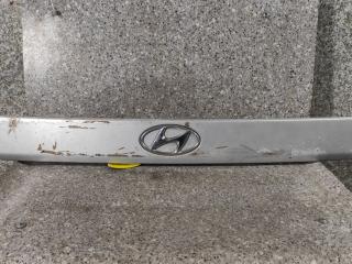 накладка подсветки номера Hyundai Atos 1 поколение [2-й рестайлинг] (2001 - 2003)