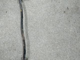 стабилизатор подвески задний Renault Scenic RX4 1 поколение [рестайлинг] 2001, 2.0 л., i, бензин, полный привод