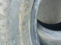 шина  - фото №3