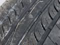шина  - фото №3