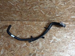 горловина топливного бака BMW X5 G05 2021, 3.0 л., B58B30C, бензин, АКПП, sophisto-grau brillant metallic, внедорожник 5 дв., полный привод, 16117439930, 7439930