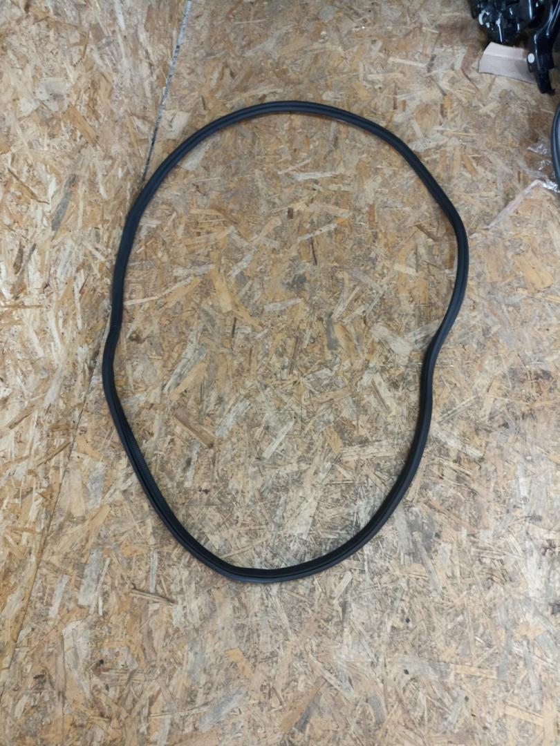 уплотнитель двери BMW X7 G07 2021, 3.0 л., B58B30C, бензин, АКПП, a96 mineral-weiss metallic, внедорожник 5 дв., 7428678, 51769465542, 9465542 - фото №1