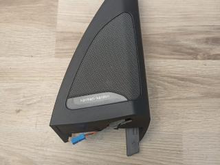 динамик двери BMW X7 G07 [рестайлинг] G07 2023, 3.0 л., B58B30P, бензин, АКПП, a96, внедорожник 5 дв., полный привод, 65136809632, 7445518, 6809632, 51337445518