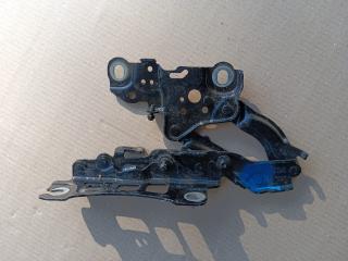 петля капота левая BMW 4 Gran Coupe G26 2023, 2.0 л., B46 B20 B, бензин, АКПП, 475, лифтбэк, задний привод, 7460589, 41008494431, 8494431