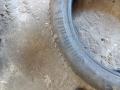 шина  - фото №8