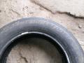 шина  - фото №4