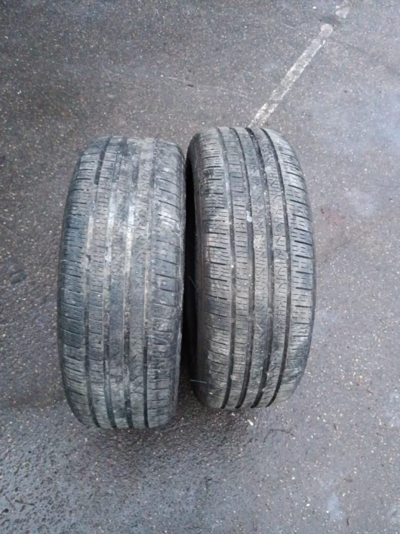 шина - фото №1