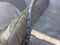 датчик ABS Mercedes-Benz E-Класс W212/S212/C207/A207 W212 2012, 2.1 л., CDi, OM 651.924, дизель, АКПП, серый металлик, седан, задний привод, правый руль, A2125400117 - фото №2