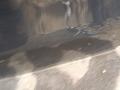 дверь передняя правая Mercedes-Benz GLC-Класс X253/C253 2018, 2.1 л., OM 651.921, дизель, АКПП, черный - фото №3