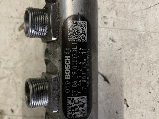 топливная рампа BMW 3 серия E90/E91/E92/E93 [рестайлинг] 2008, 2.0 л., TD, дизель, МКПП, 0445214134