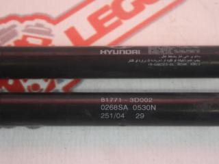 амортизатор крышки багажника (3-5 двери) Hyundai Sonata 4 поколение [рестайлинг] EF 2004, 2.0 л., G4JP, бензин, МКПП, бежевый, седан, передний привод, 81771-3D002
