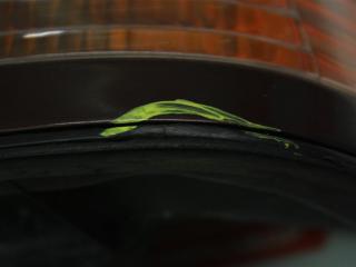 фонарь задний правый Nissan Maxima A32 1997, 3.0 л., VQ30DE, бензин, АКПП, вишнёвый, седан, передний привод, 2655043U27