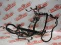 проводка двигателя Mercedes-Benz S-Класс W220 1999, 4.3 л., M113 E43 , бензин, задний привод, A2205404505 - фото №2