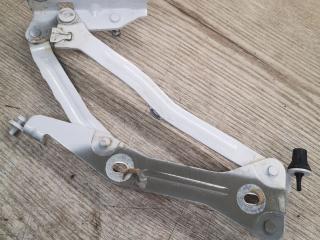 петля крышки багажника Ford Mustang 6 поколение S550 2017, 5.0 л., бензин, АКПП, FR3B6342700AD