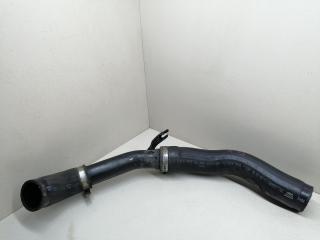 патрубок интеркулера Nissan Micra K12 [2-й рестайлинг] K12 2008, 1.5 л., DCi, K9K, дизель, МКПП, серый, хетчбэк 5 дв., передний привод