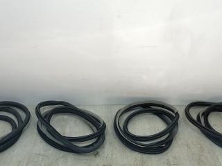 уплотнитель двери Renault Laguna 3 поколение 2009, 1.5 л., DCi, дизель, МКПП, серый, передний привод, 808330001R, 769240001R
