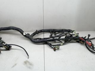 проводка подкапотная Nissan Almera N16 2000, 1.5 л., DCi, дизель, МКПП, хетчбэк 5 дв.