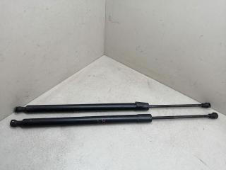 амортизатор крышки багажника (3-5 двери) Renault Modus 1 поколение 2004, 1.4 л., i, K4J 770, бензин, 5МКПП, красный, хетчбэк 5 дв., передний привод, 8200219322
