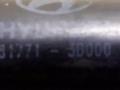 амортизатор крышки багажника (3-5 двери) Hyundai Sonata 4 поколение [рестайлинг] 2003, 81771-3D000 - фото №2