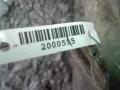 рычаг передний правый Nissan Navara D40 2008, 2.5 л., дизель, МКПП, серый, внедорожник 5 дв., полный привод, 54500EB70A - фото №2