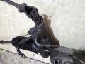 рулевая рейка Infiniti G 3 поколение 2004, 3.5 л., i, VQ35DE, бензин, АКПП, серый, седан, AM620G - фото №2