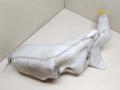 бачок омывателя Opel Astra G 2003, 2.2 л., Y 22 DTR, дизель, МКПП, черный, универсал, передний привод - фото №2