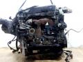 коллектор выпускной Renault Espace 4 поколение 2004, 2.2 л., D, дизель, МКПП, зелёный, минивэн - фото №2