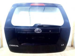 фонарь салона (плафон) Kia Carnival VQ 2007
