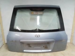 подсветка номера Daewoo Tacuma 1 поколение [рестайлинг] 2006, минивэн