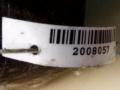кронштейн генератора Renault Scenic 2 поколение 2004, 1.9 л., F9Q 812, дизель, МКПП, минивэн, передний привод - фото №3
