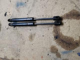 амортизатор капота Renault Scenic 3 поколение 2011, 1.5 л., DCi, дизель, 6МКПП, минивэн, передний привод