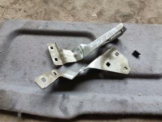 петля капота Renault Megane 2 поколение 2003, 1.5 л., дизель, МКПП, хетчбэк 5 дв.